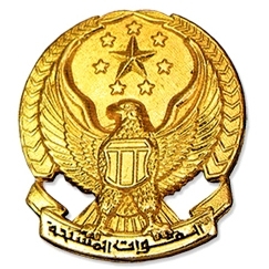 Metal Badge